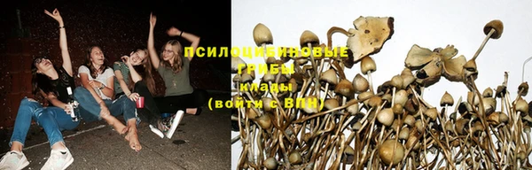 ALPHA PVP Верея