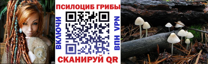 Галлюциногенные грибы Magic Shrooms  blacksprut рабочий сайт  Курск  как найти наркотики 